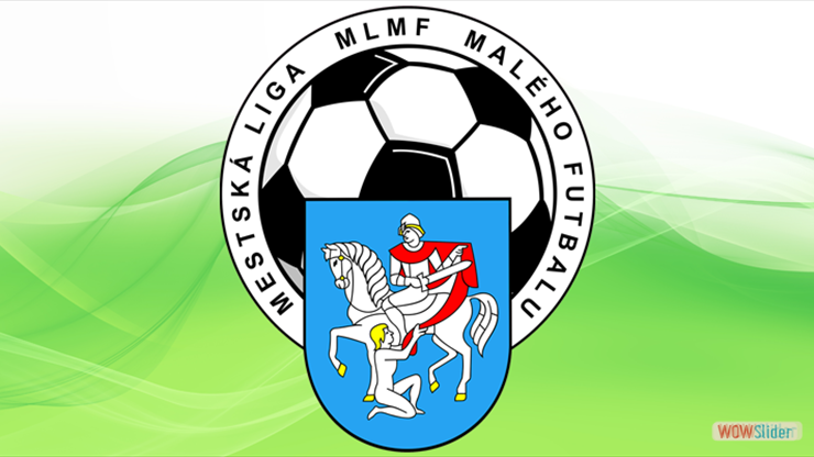 mlmf_logo01